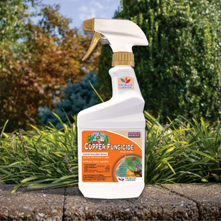 Bonide Captain Jack's Copper Fungicide 473 ml