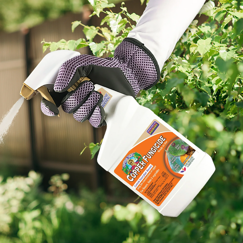 Bonide Captain Jack's Copper Fungicide 473 ml